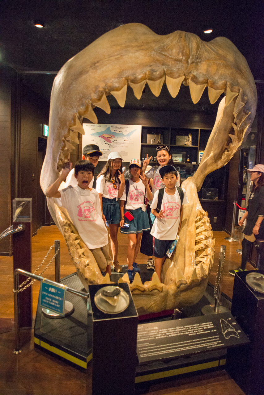 サマーキャンプ in 沖縄 2017 写真