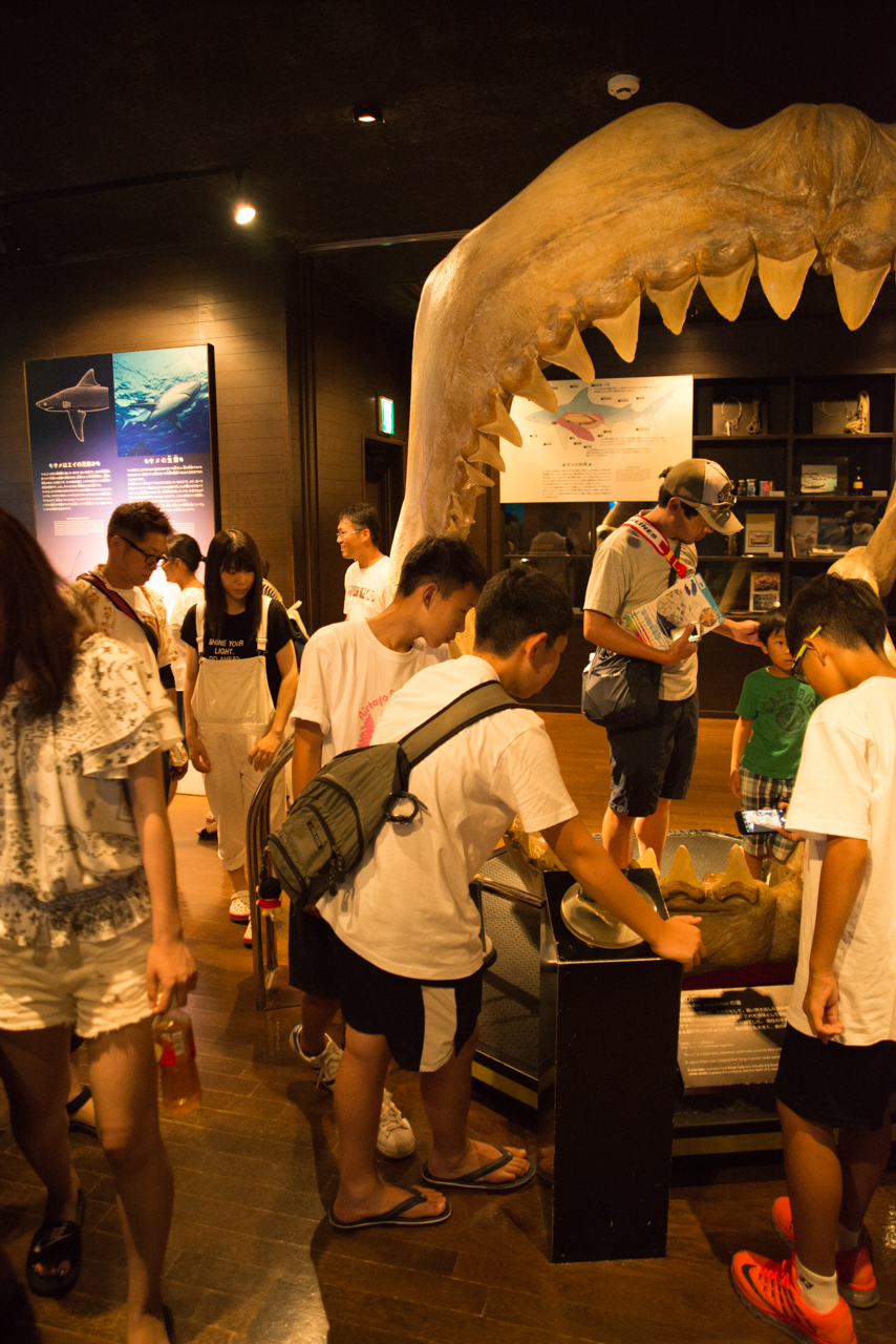 サマーキャンプ in 沖縄 2017 写真