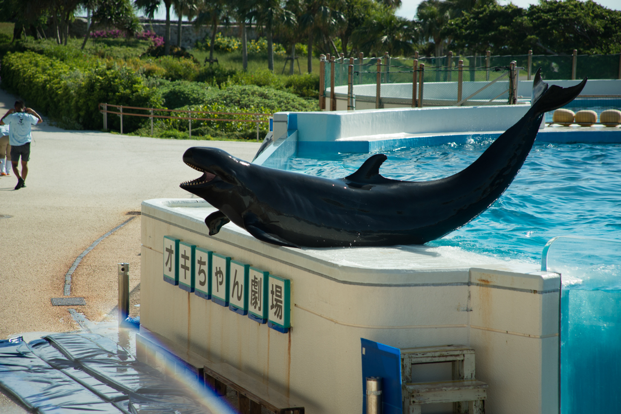 サマーキャンプ in 沖縄 2017 写真