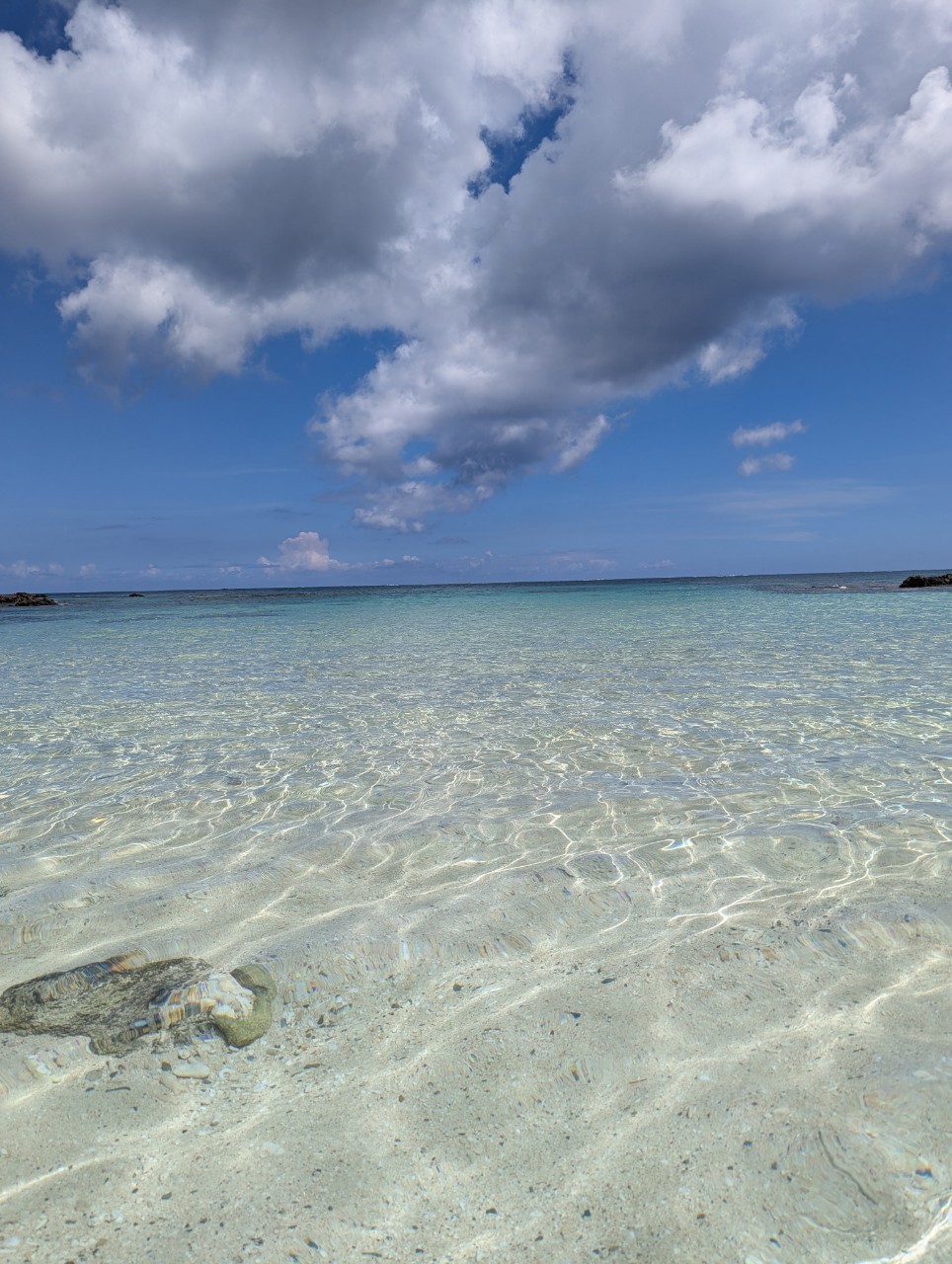 サマーキャンプ2024沖縄の写真