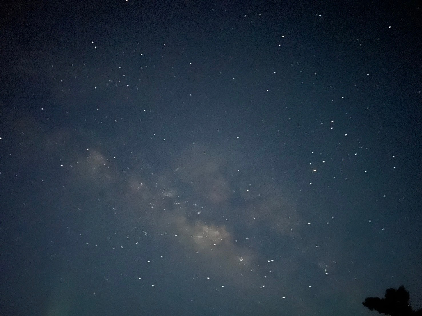 サマーキャンプ2024沖縄の写真