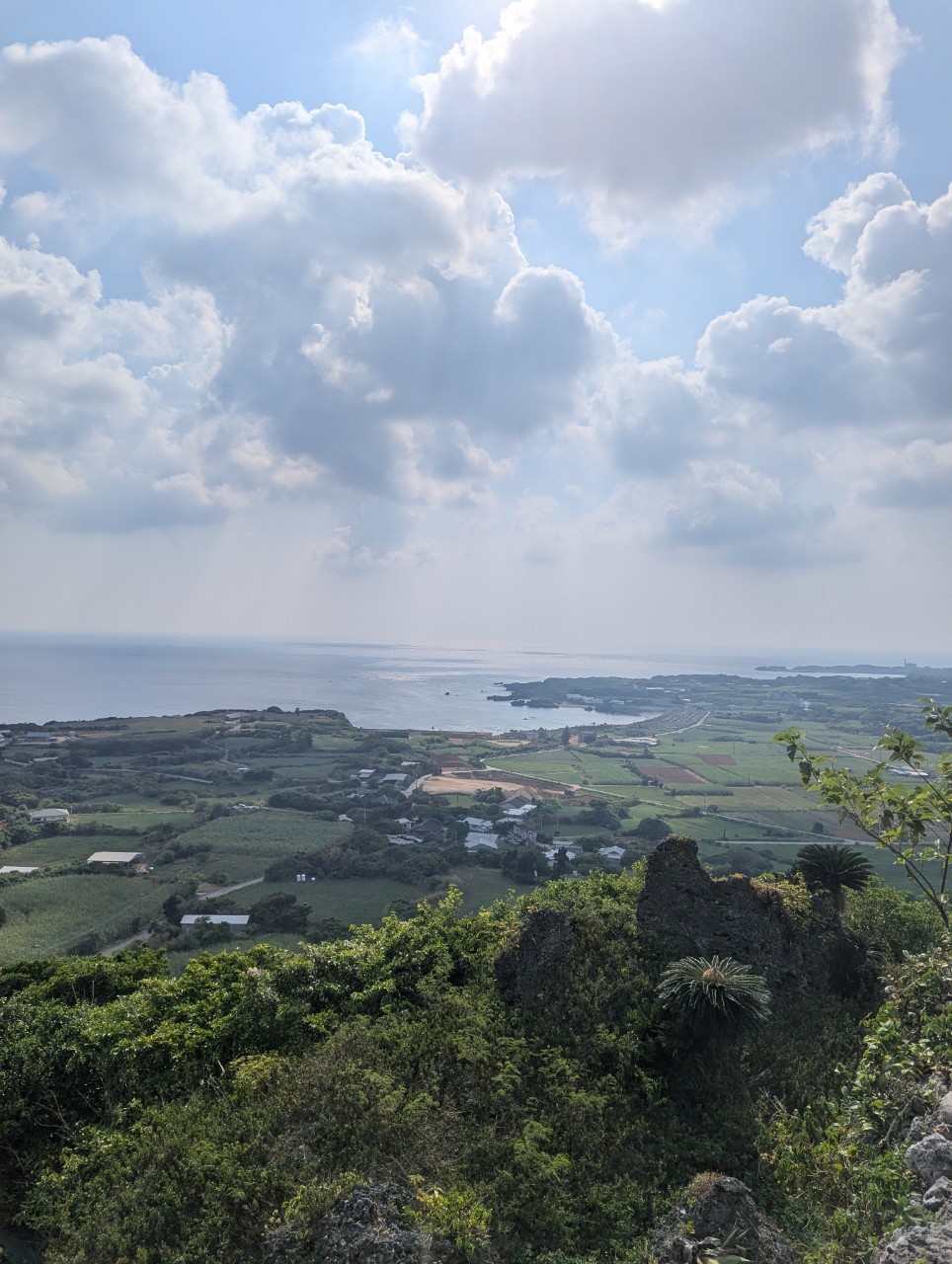 サマーキャンプ2024沖縄の写真