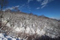 ウィンターキャンプ in 長野 2015 写真