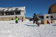 ウィンターキャンプ in 長野 2015 写真